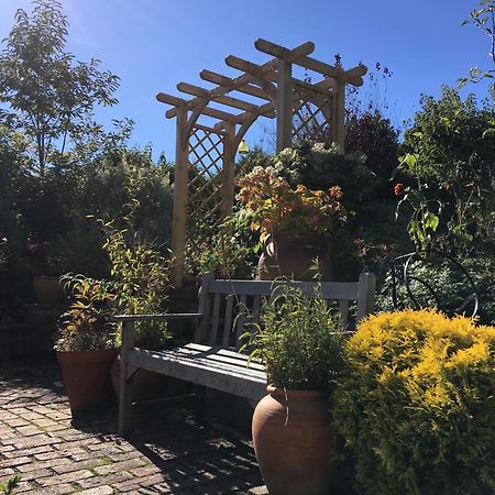Anne'S House Bed and Breakfast Χέιστινγκς Εξωτερικό φωτογραφία